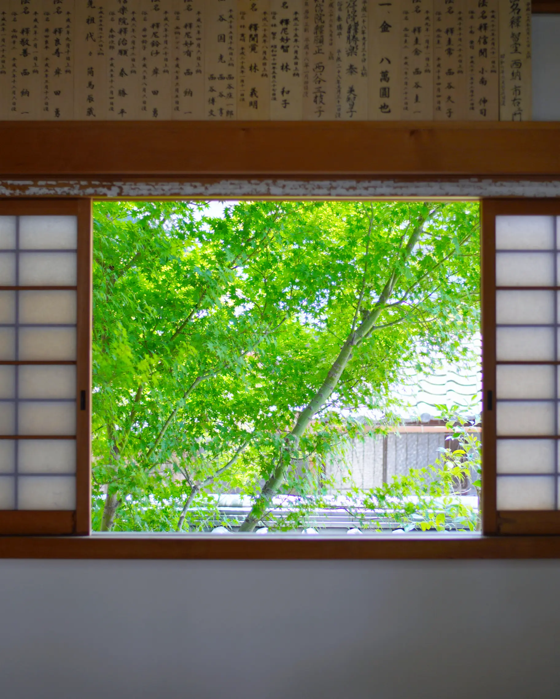 パルティ道教寺ホームページ